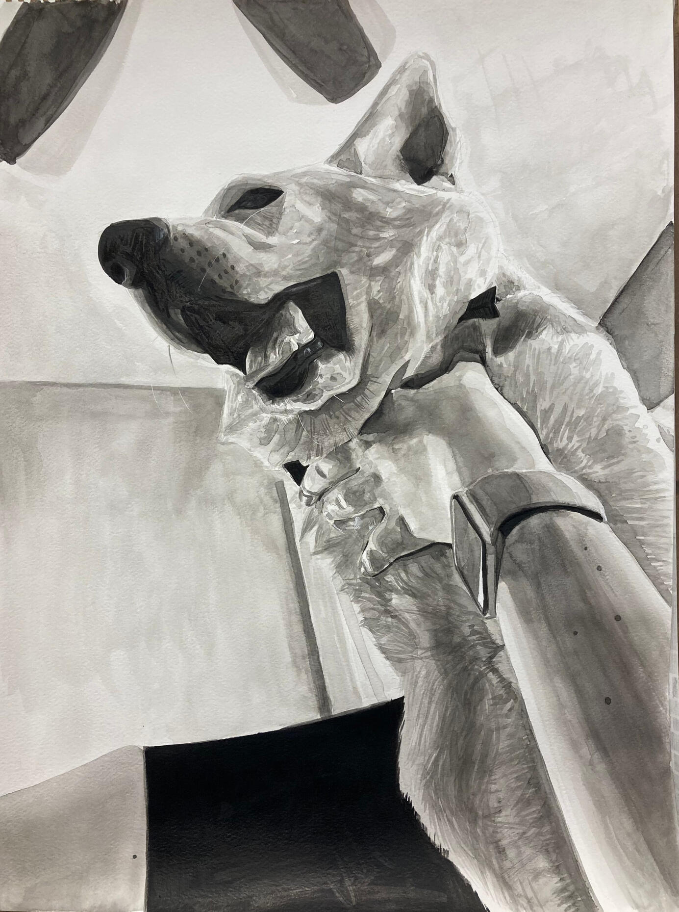 Dog Wrestling Dog Wrestling