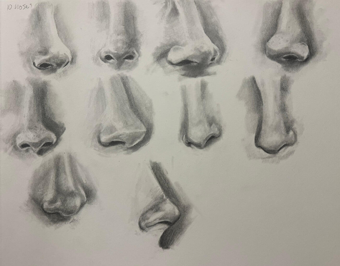 10 Noses 10 Noses
